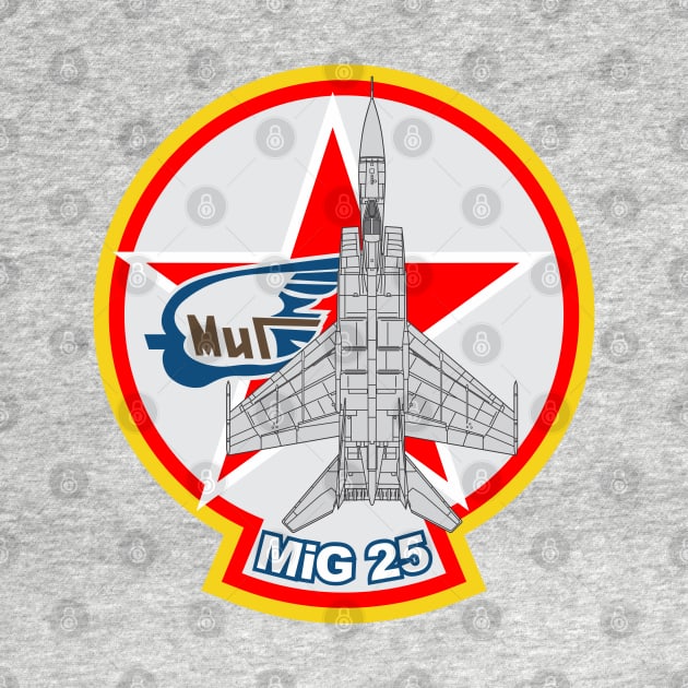 MiG 25 Foxbat Fighter by MBK